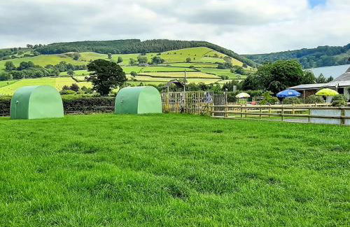 Green Dragon and Kitchen Pod - Sleeps 2 & Parking - Photo 2