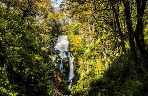 12 & 14 On the Hill Aberfoyle, twin holiday cottages in Scenic Loch Lomond & Trossachs National Park - Foto 20