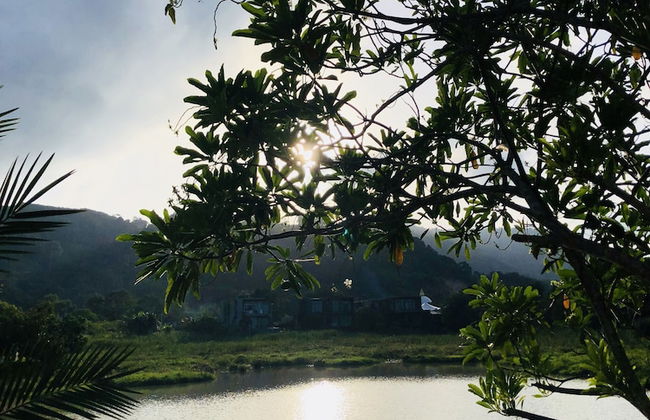 Zens Element - Photo 29