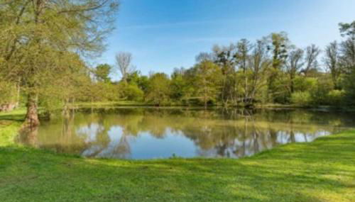 Epicéas, piscine, tennis, lac - Foto 4, Garden