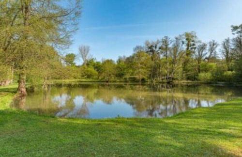 Epicéas, piscine, tennis, lac - Foto 4