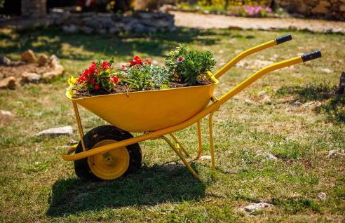 Amazing Home In Puljane - Foto 19