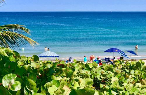 Seashell 3 - Seasonal Rental - Foto 28