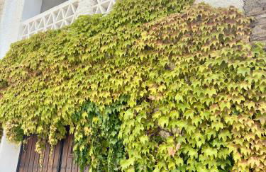 Casa Ángel - Foto 52