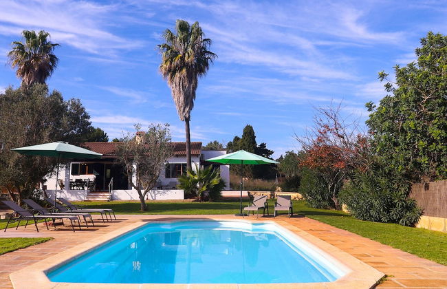 Finca ES Torrent Paz y Tranquilidad - Foto 14