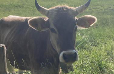 Ferienwohnung Bergleuchten - Photo 21