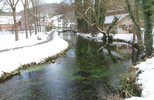 Fewo Waldfeeling - Foto 25