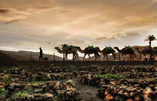 Home2Book Bright Casa Rocío Playa Honda, Terrace - Foto 26