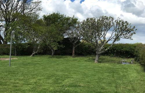 Berwyn View - Photo 37