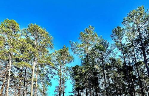 Luxury Masters Rental 5BR 4 Acre Estate Fire Pit Gym 2 Verandas - Foto 10