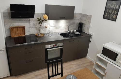 LOUHANS Les Petites Arcades avec ses deux appartements coté Arcades et coté cour - Foto 13