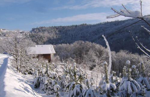 Agroturystyka Millerówka - Photo 17