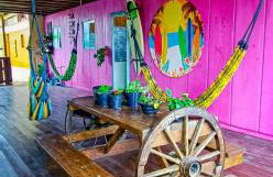 Família SOL & LUA Guarda do Embaú SC - Photo 38