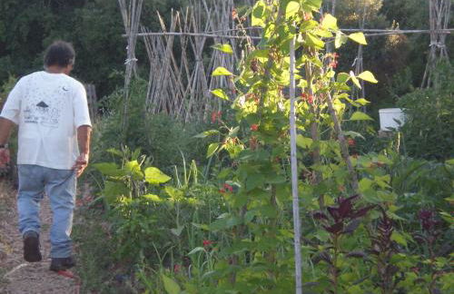 Mas del Salin - Foto 23