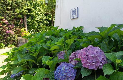 Casa Olivella - Foto 42