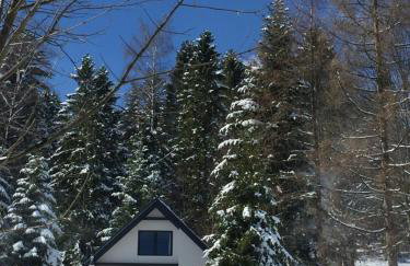 Cerla Korbielów - Domek dla Dwojga - Foto 29