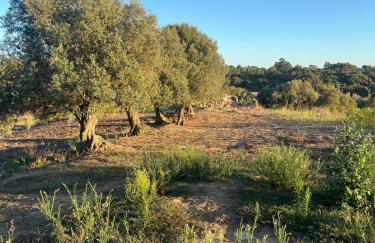 Rural old house with Vintage Furniture - Foto 17