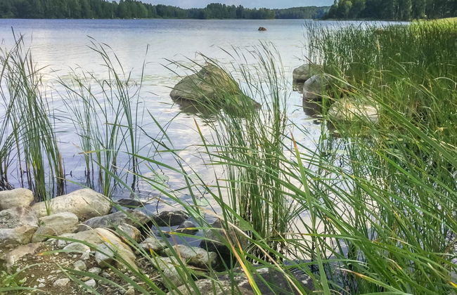 Annelinniemi - Foto 41