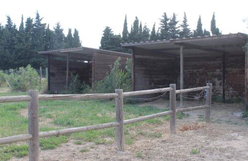 Mas des Oliviers - Foto 13