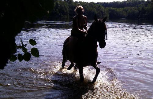 Gîte du Mont Gérard - Foto 23