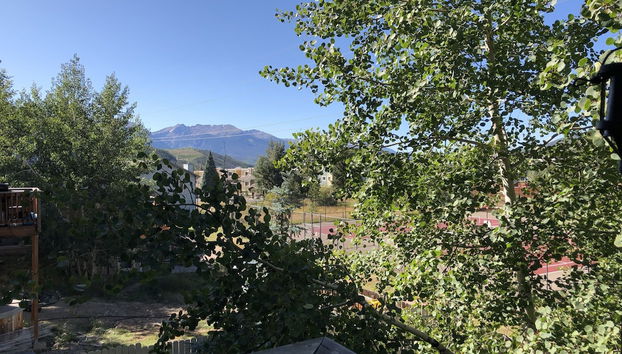 Honeysuckle House - Foto 4, Interior