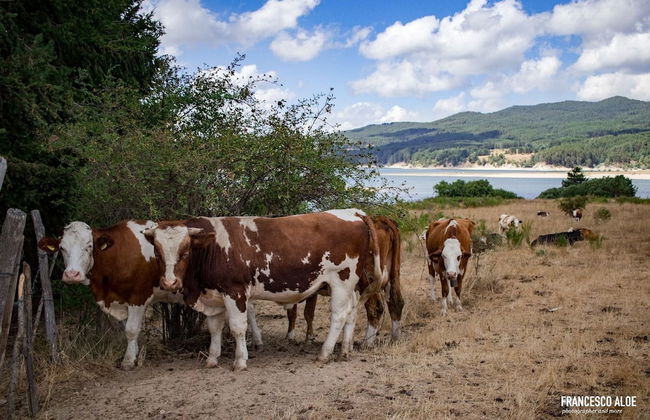 La Casa di Chiaretta - Foto 17