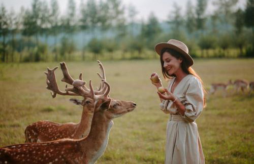 Jurta w Dolinie Sanu - Foto 14