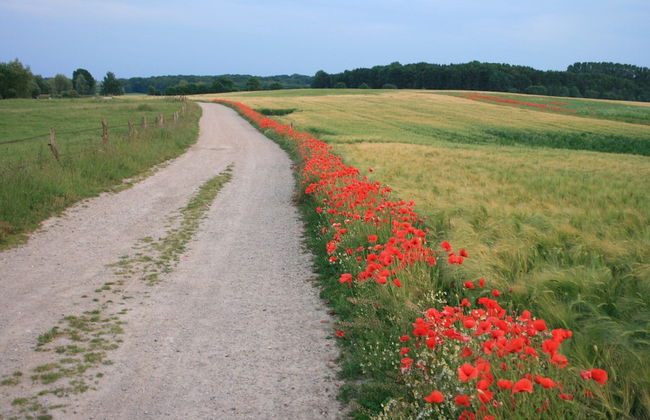 Moderne Ferienwohnung in Kluetz in Strandnahe - Foto 62