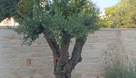 Villa Terra Nuova - Foto 3, Garden, Garden view