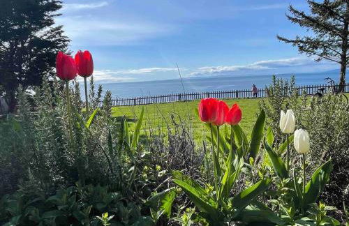 Home Away From Home - Foto 20