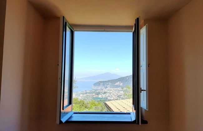 Gli Ulivi Agriturismo - Foto 30