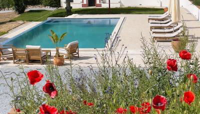 Quinta da Asneira - Photo 3, Garden view