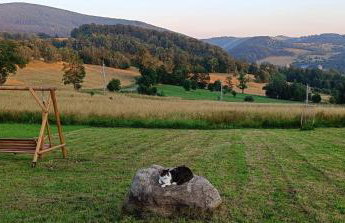 Wzgórze Jasia - Foto 2