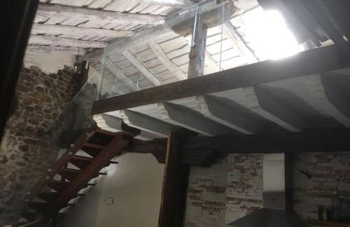 LA RAMA DEL CASTOR - Foto 4