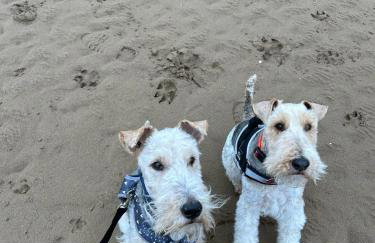 Stylish 1-bed Studio in Humberston, Cleethorpes - Foto 72