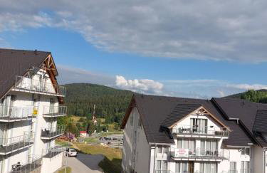 Czarna Góra Apartament 319 - Foto 56