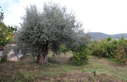 Villa Krassi - Foto 44