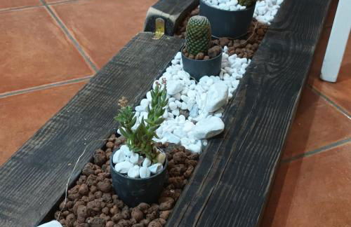 Al Vicoletto - Foto 21