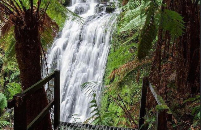 The Source Otways - Foto 26