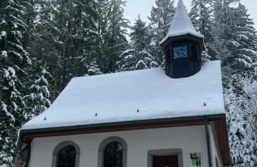 Apartment Schwarzwald-Anni Pool Tennis Sauna - Foto 52