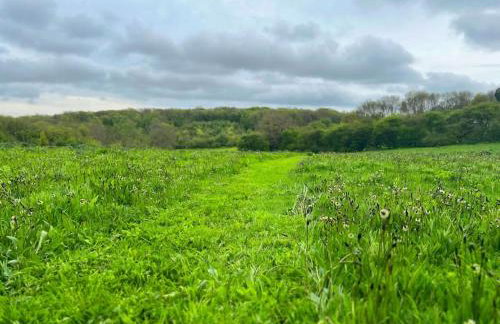 Orchard Cottage - Kent - Foto 20