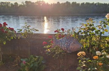 Fewo Rheinblick St Nikolaus Str - Foto 20