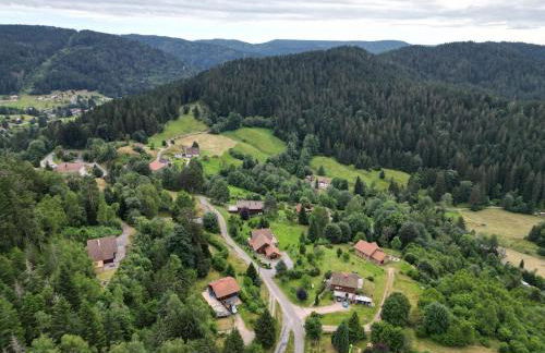 Chalet l'Appel de la Forêt - Foto 74