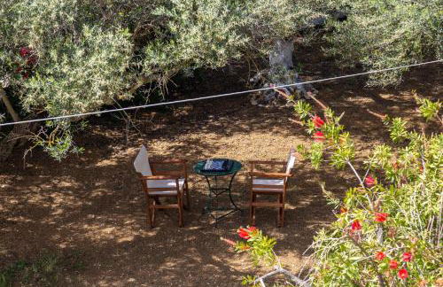 SEA & OLIVES HOUSE - Photo 33