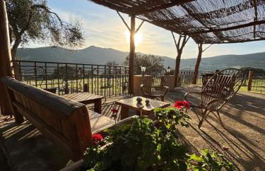 Bergerie de Charme Pedi Lione - Foto 16