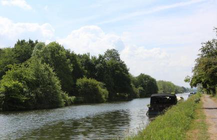 The Orangery - Foto 29