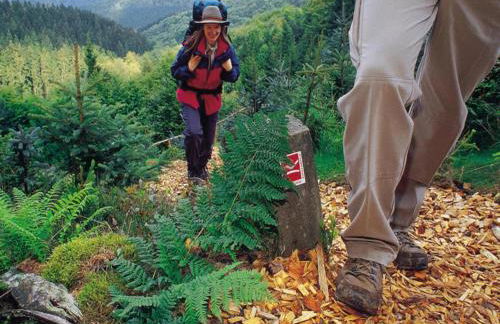 Deluxe Holiday Home in Brilon-wald Near Ski Area - Foto 86