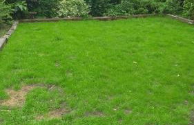 4 Bed-2 Bath-Bar-Pool Table-Library- Xmas venue - Photo 70