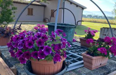 Le Ghiande - Foto 27