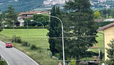 Molly’s Home - Foto 4